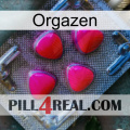 Orgazen 13